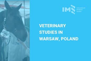 Veterinary studies in Warsaw Poland